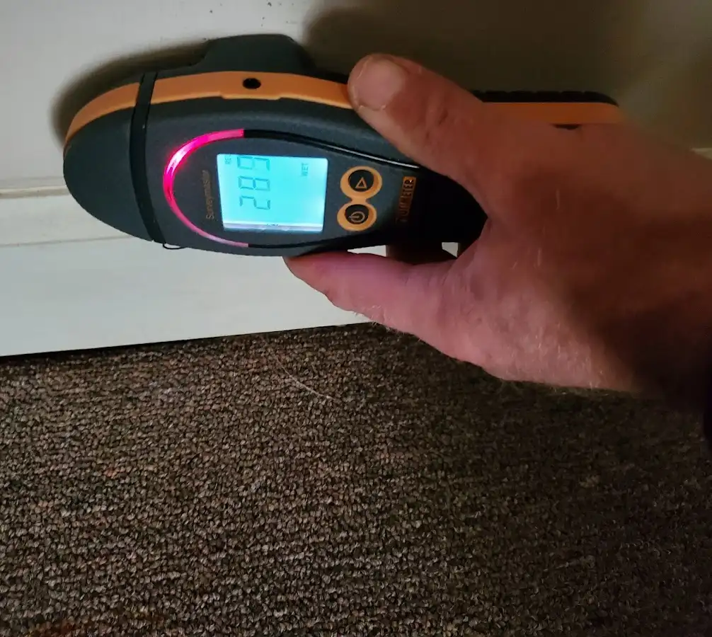 Moisture detection at baseboard during Sewage Cleanup & Sanitation in Tipp City